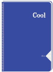 KESKİN DEFTER COLL A4 SPİRALLİ PP KAPAK 40 YP. KARELİ 321592-99