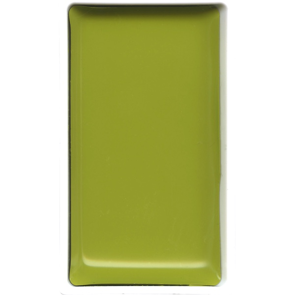 ZIG SULUBOYA GANSAI TAMBI TABLET MC21- 48 GREENISH YELLOW
