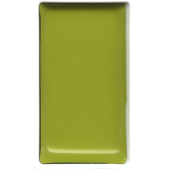ZIG SULUBOYA GANSAI TAMBI TABLET MC21- 48 GREENISH YELLOW