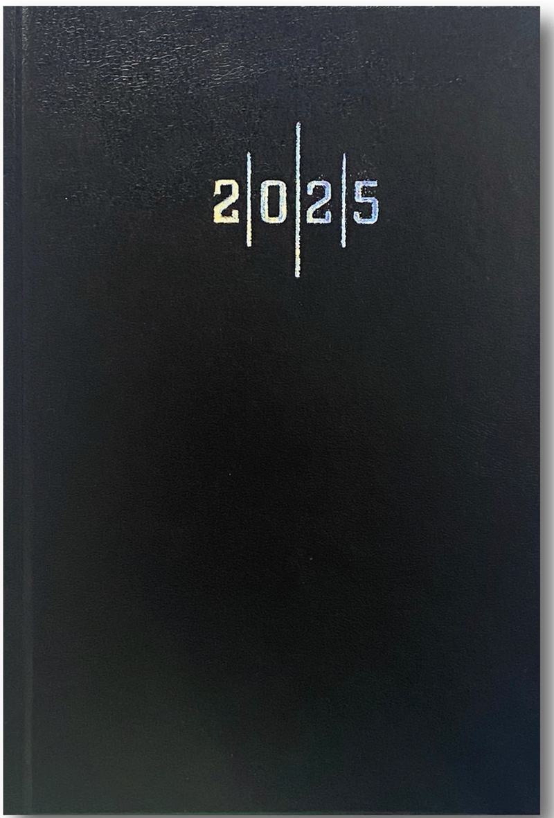 LİZ AJANDA 14X20 EKONOMİK CİLT BEZİ ÇİZGİLİ AJ902E