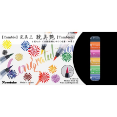 ZIG CAMBIO TAMBIEN PEN 6 LI SET X050T/6VB