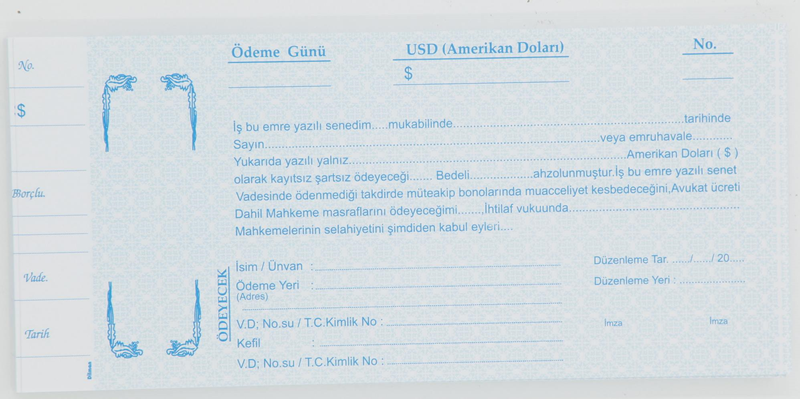 DİLMAN SENET DOLAR 100 LÜ 2317