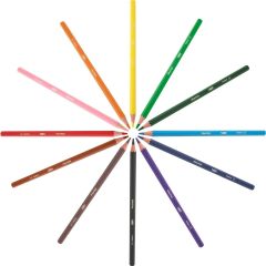 Bic Evolution 36’lı Tüp Kuru Boya Seti 968491