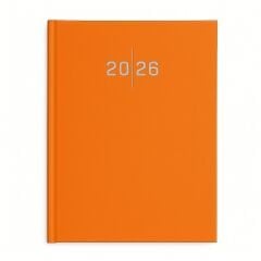 LİZ 2026 AJANDA EKONOMİK CİLT BEZİ ÇİZGİLİ AJ907 14x20cm