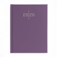 LİZ 2026 AJANDA 17X24 EKONOMİK CİLT BEZİ ÇİZGİLİ AJ907 (EFLATUN)