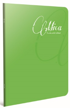 GIPTA DEFTER MICA A5 TEL DİKİŞLİ PP KAPAK 100 YP. ÇİZGİLİ 2934