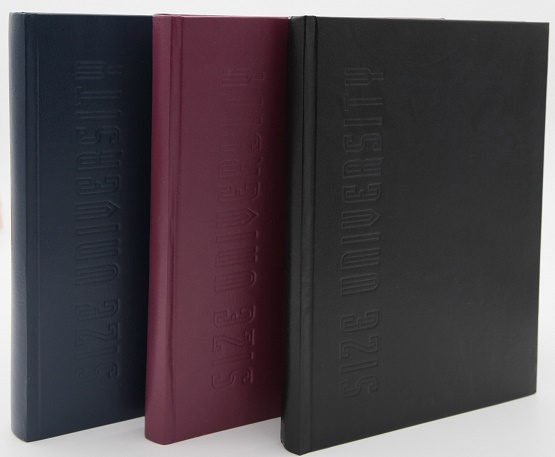 DİLMAN DEFTER ÜNİVERSİTE DİKİŞLİ SERT KAPAK 20x28 200 YP ÇİZGİLİ 6815
