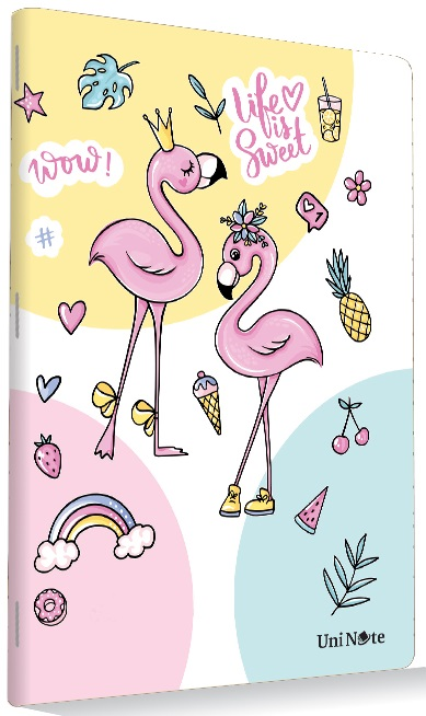 ÇINAR DEFTER A4 OKUL KARTON KAPAK 80 YP. KARELİ 13008