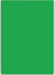 CRAFT AND ARTS FON KARTONU 50x70 160 GR PASTEL YEŞİL 30000345