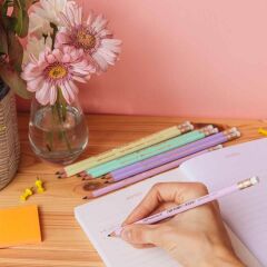 BIC EVOLUTION KURŞUN KALEM PASTEL SİLGİLİ 5 Lİ BLS. 518986