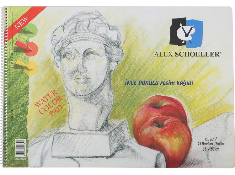 ALEX RESİM DEFTERİ 120GR 35x50 SPİRALLİ 15 YP 120.35 ALX-833