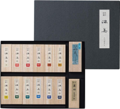 ZIG INK STICK SAIBOKU SHIMBI 14 RENK AK8/14V