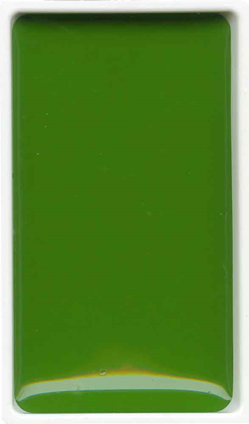 ZIG SULUBOYA GANSAI TAMBI TABLET MC21- 53 SAP GREEN