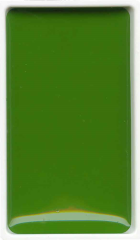 ZIG SULUBOYA GANSAI TAMBI TABLET MC21- 53 SAP GREEN