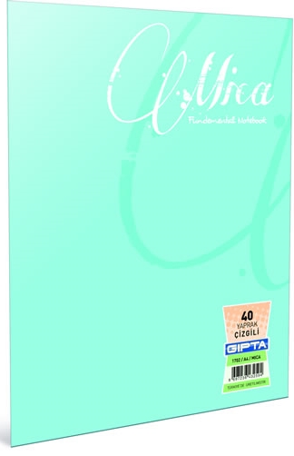 GIPTA DEFTER MICA A4 TEL DİKİŞLİ PP KAPAK 100 YP. ÇİZGİLİ 2488