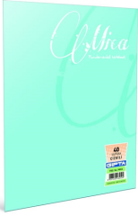 GIPTA DEFTER MICA A4 TEL DİKİŞLİ PP KAPAK 100 YP. ÇİZGİLİ 2488