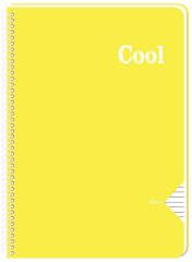 KESKİN DEFTER FREE A4 PP KAPAK SPİRALLİ 60 YP. DÜZ 320400