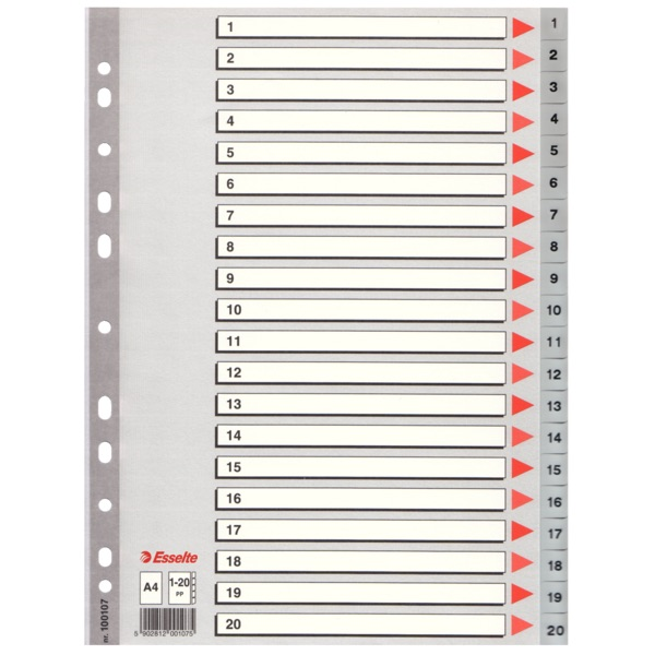 ESSELTE SEPERATÖR A4 1-20 RAKAM SLT-100107