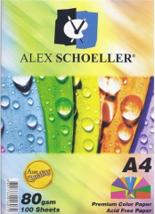 ALEX FOTOKOPİ KAĞIDI A4 50 Lİ 10 RENK ALX-621