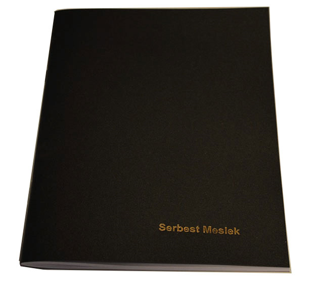 DİLMAN SERBEST MESLEK DEFTERİ PP KAPAK 48 YP 7108