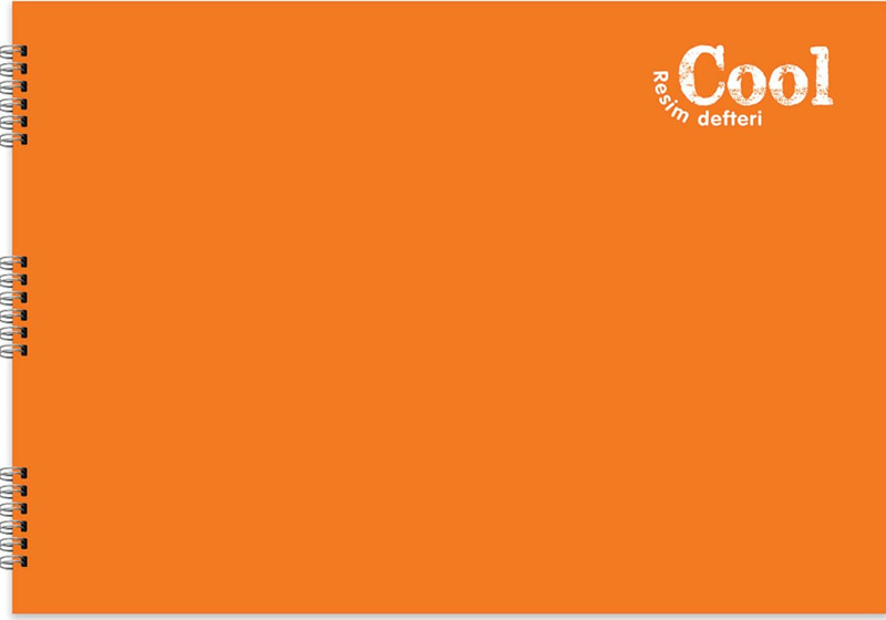 KESKİN RESİM DEFTERİ COOL 35X50 SPİRALLİ PP KAPAK 15 YP. 306131-99