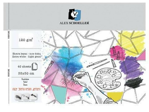 ALEX RESİM DEFTERİ 120GR 25x35 SPİRALLİ 40 YP ALX-0770