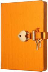VJ DEFTER HUSH HUSH KİLİTLİ METALİK KUTULU 13x18 Cm. 80 Gr. 160 YP. DÜZ TURUNCU 4401