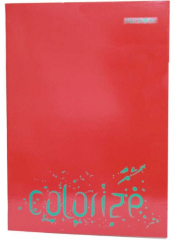 ÇINAR DEFTER A4 OKUL KARTON KAPAK 40 YP. ÇİZGİLİ 13001