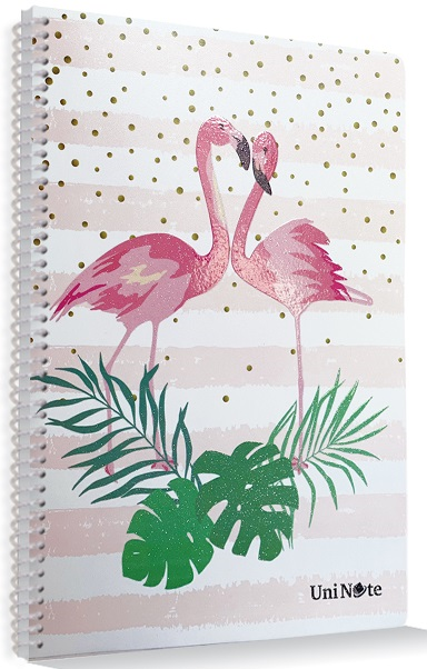 ÇINAR DEFTER A4 DREAM SPİRALLİ PP KAPAK 72 YP. KARELİ 72508