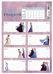 KESKİN ETİKET DERS PROGRAMLI 3 LÜ FROZEN II 220130-92