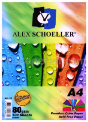 ALEX FOTOKOPİ KAĞIDI A4 100 LÜ 10 RENK ALX-779