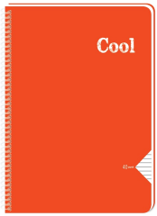 KESKİN DEFTER COLL A4 SPİRALLİ PP KAPAK 60 YP. ÇİZGİLİ 321601-99