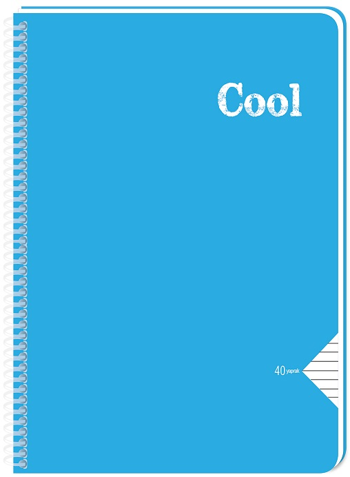 KESKİN DEFTER COLL A4 SPİRALLİ PP KAPAK 40 YP. ÇİZGİLİ 321591-99
