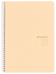 KESKİN DEFTER PASTEL NOTE Z4 SPİRALLİ PP KAPAK 120 YP. KARELİ 327744-99