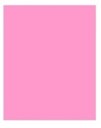 CRAFT AND ARTS FON KARTONU 50x70 160 GR PASTEL PEMBE 30000347