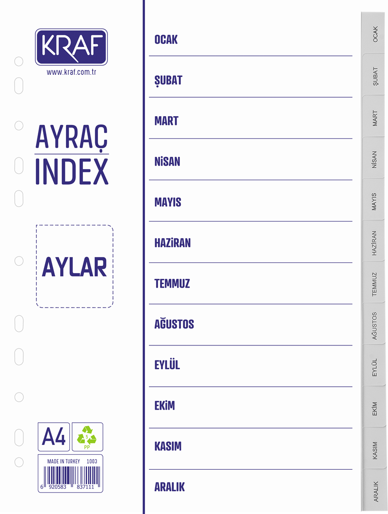 KRAF SEPERATÖR 1003 AYLAR