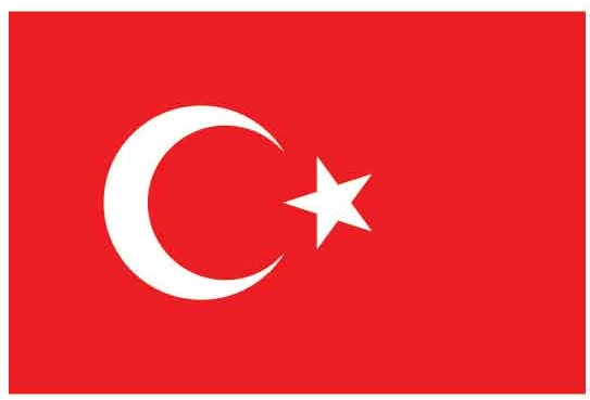 BUKET BAYRAK MASAÜSTÜ 15X22,5 ÇİFT KATLI BKT-136