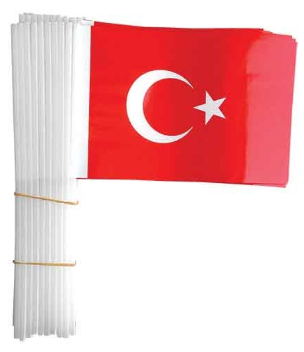 BUKET BAYRAK SOPALI TÜRK 40 LI 22x32cm BKT-302