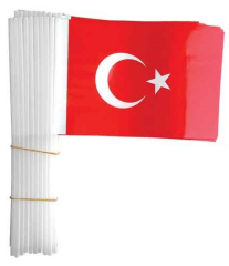 BUKET BAYRAK SOPALI TÜRK 40 LI 22x32cm BKT-302