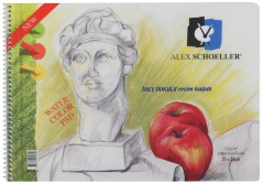 ALEX RESİM DEFTERİ 120GR 25x35 SPİRALLİ 15 YP 120.25