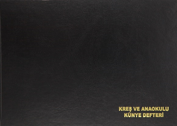 DİLMAN ANAOKULU KREŞ KÜNYE DEFTERİ CİLTLİ 96 YP 5311
