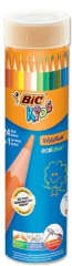 BIC KURU BOYA EVOLUTION 24+1 TÜP 958190