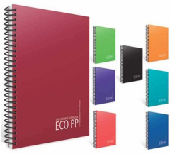 GIPTA DEFTER EKO A4 SPİRALLİ PP KAPAK 60 YP. ÇİZGİLİ 4175