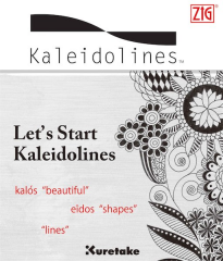 ZIG EĞİTİM KİTAPÇIĞI DESEN KALEIDOLINE INTX300-801
