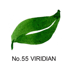 ZIG CAMBIO TAMBIEN PEN VIRIDIAN 055 X050T