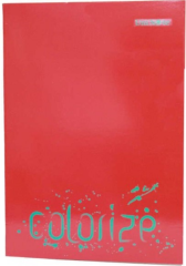 ÇINAR DEFTER A4 OKUL KARTON KAPAK 80 YP. DÜZ 13006