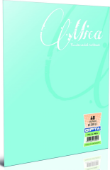 GIPTA DEFTER MICA A5 TEL DİKİŞLİ PP KAPAK 60 YP. KARELİ 1712