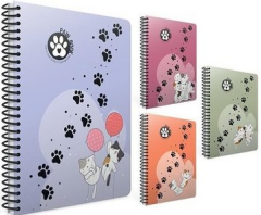 GIPTA DEFTER PAW A4 SPİRALLİ PP KAPAK 80 YP. ÇİZGİLİ 7070