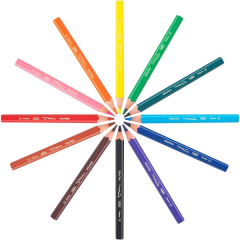 BIC KURU BOYA EVOLUTION ÜÇGEN JUMBO 12+1 Lİ TÜP 958192