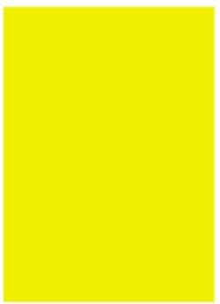 CRAFT AND ARTS FON KARTONU 50x70 160 GR NEON SARI 30017696